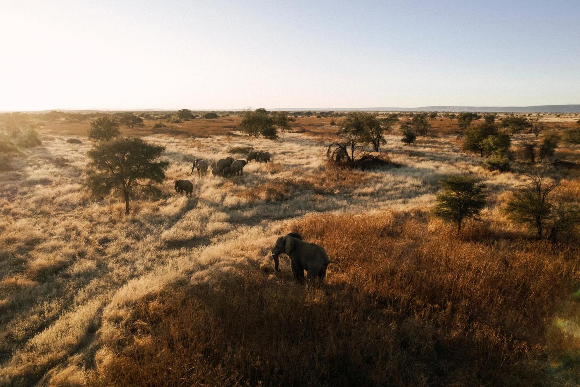 Hotel Our Habitas Namibia Windhuk Zewnętrze zdjęcie